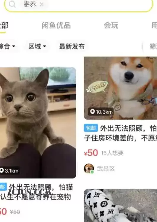 1665500850-292b323ae39a6e3 微商对话转账记录截图生成器,微商必备做图软件,直接安装就是会员