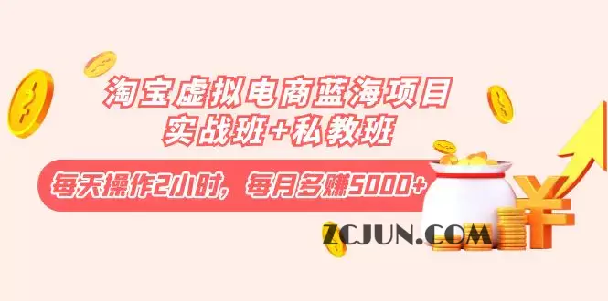 淘宝虚拟电商蓝海项目实战班+私教班:每天操作2小时,每月多赚5000+
