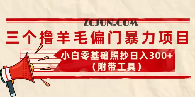 外面卖998的三个撸羊毛偏门暴力项目,小白零基础照抄日入300+(附带工具)
