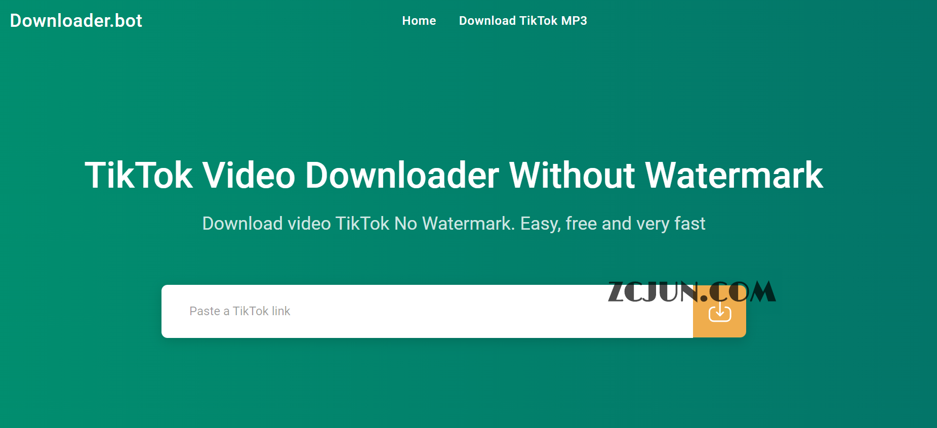 国际版抖音TikTok视频去水印解析下载-Tlk Tok Downloader
