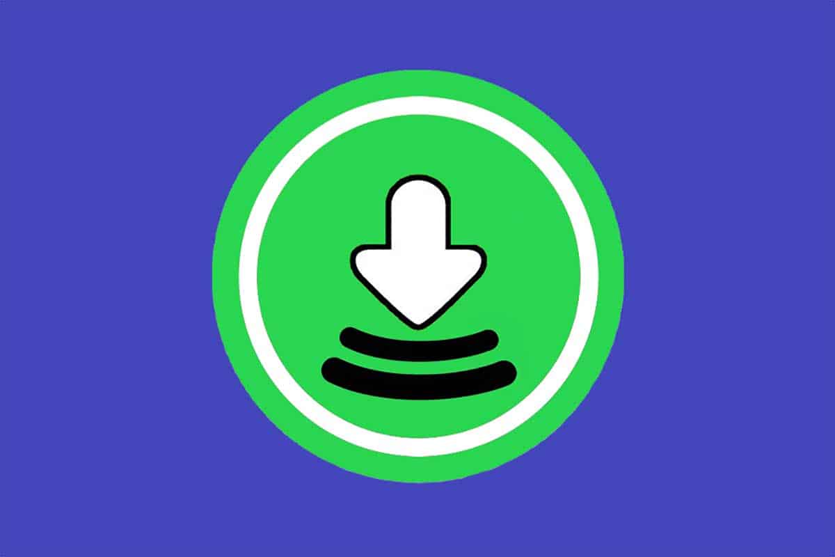 Spotify歌曲下载器-SpotifyDown