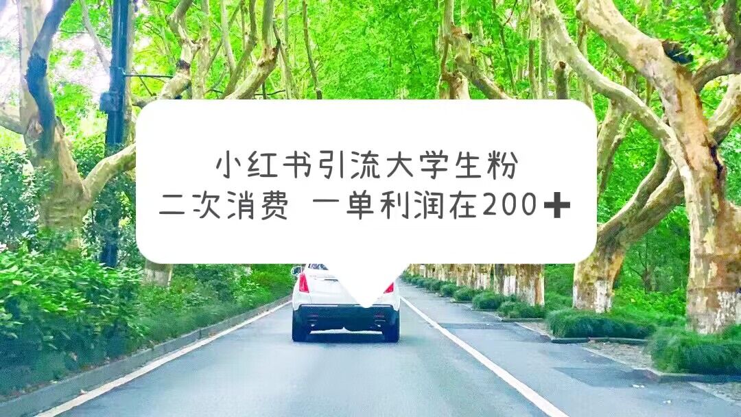 1685023863-b2d60d3ed4240ab 小红书引流大学生粉,变现项目,一单利润在200+(教程+资源)