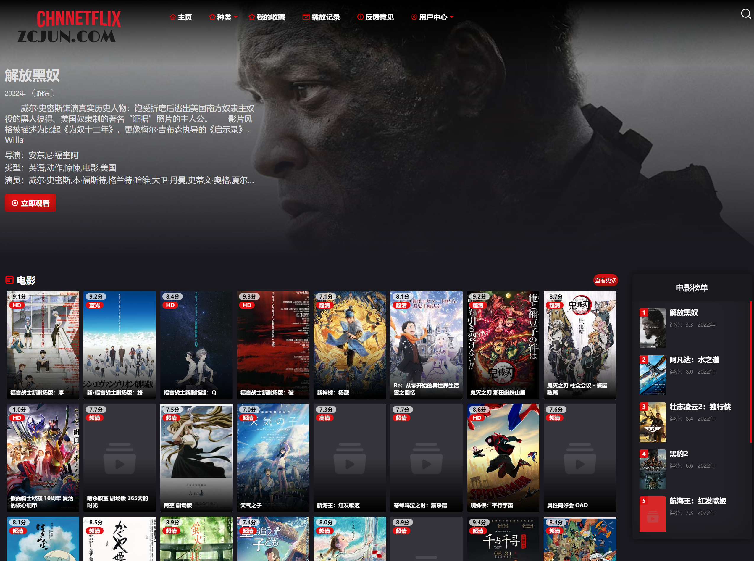 ChnNetflix影视-免费的奈飞影剧在线影视网站