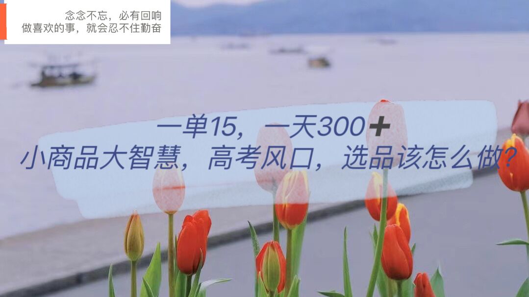 1686059785-e372b653435a2cc 一单15,一天300+,小商品大智慧,高考风口,选品该怎么布局