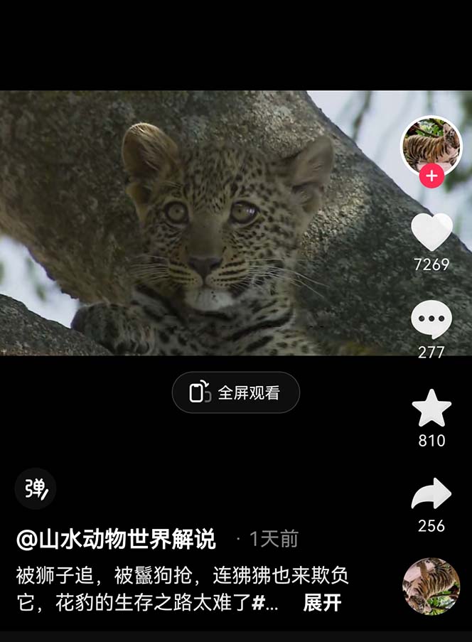 1687791073-46d293113105395 外面卖1699的国外纪录片解说(动物解说、美食、动画片)稳过中视频