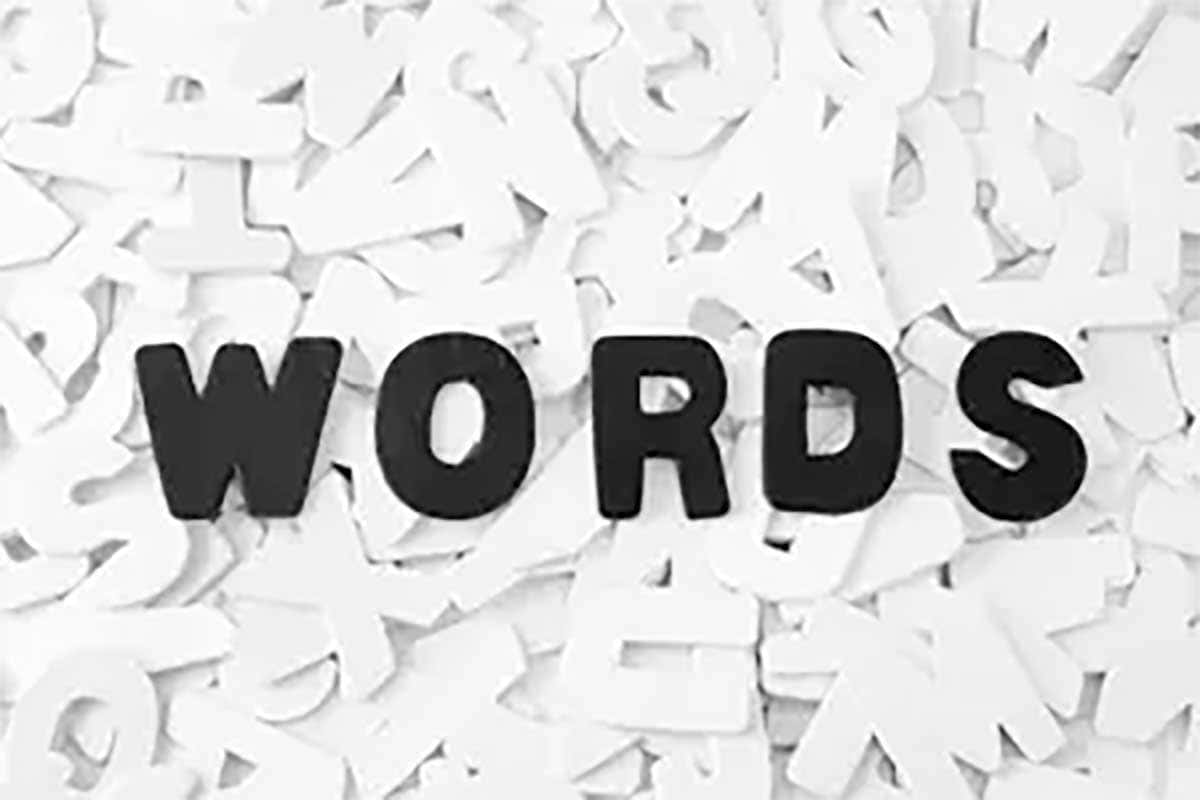 单词之风-在线背单词工具 像风一样丝滑