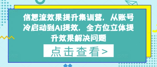 01da08ae7365660 信息流效果提升集训营,从账号冷启动到AI提效,全方位立体提升效果解决问题