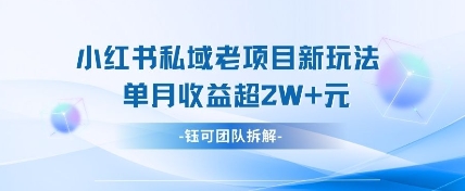 cc04643acae8654 小红书私域项目新玩法,单月变现过W+