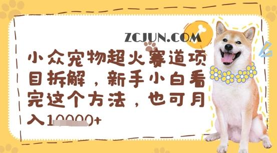 28996da379636d9 小众宠物超火赛道项目拆解,新手小白看完这个方法,也可月入过w