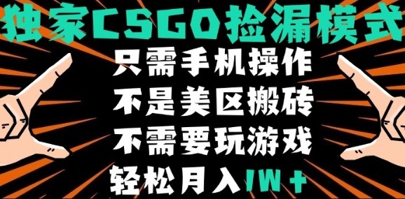 10abe4be3d90fe4 CSGO自动捡漏项目,最新独家玩法,不是美区搬砖,不需要了解和玩游戏,新手小白轻松月入1W+