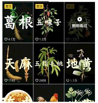 8fbdbf5573b18fa 抖音中草药赛道,用AI做中草药故事视频,45条作品涨粉13W,橱窗带货猛猛出单