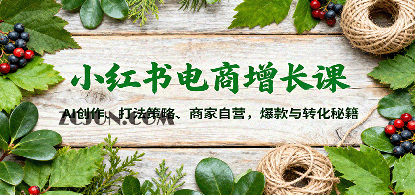 ea6e5b061b119cf 小红书电商增长课:AI创作、打法策略、商家自营,爆款与转化秘籍