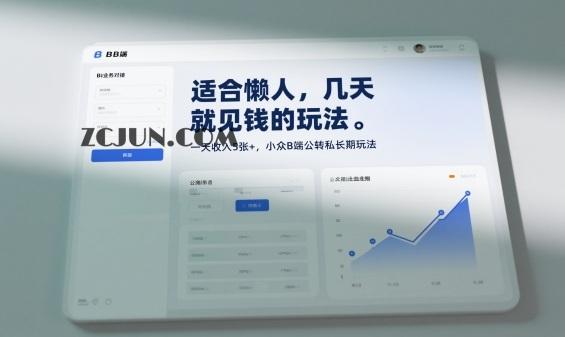 适合懒人,几天就见钱的玩法,一天收入5张+,小众B端公转私长期玩法