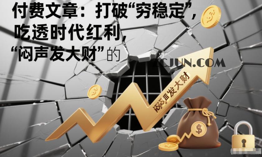 付费文章:打破“穷稳定”,吃透时代红利,“闷声发大财”的终极真谛