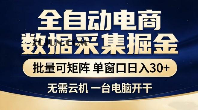 全自动电商数据集掘金,批量可矩阵,单窗口日入30+,无需云机,一台电脑开干