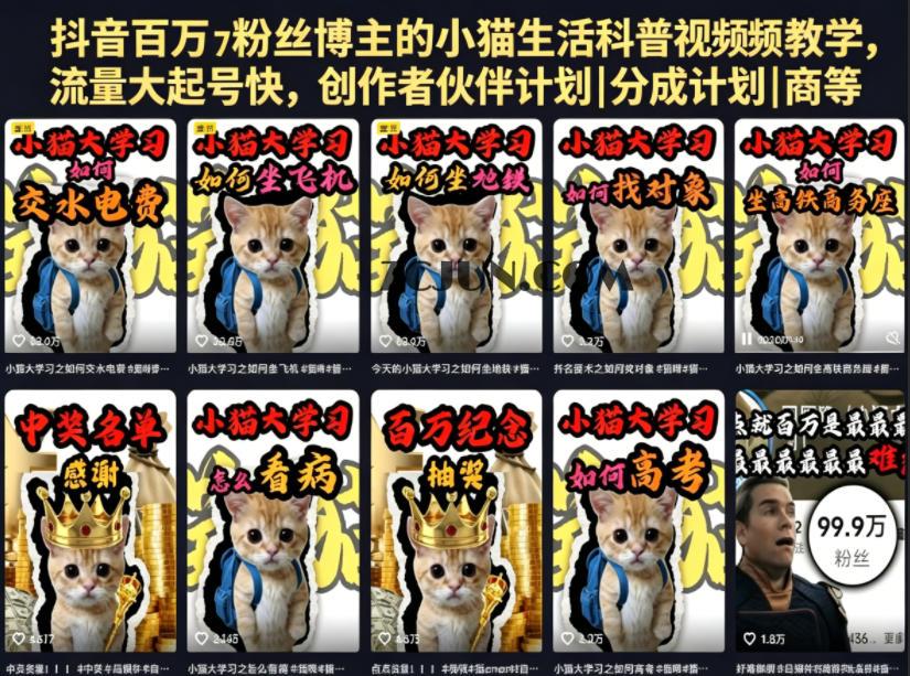 抖音百万粉丝博主的小猫生活科普视频教学,流量大起号快,创作者伙伴计划|分成计划|商单|收徒等