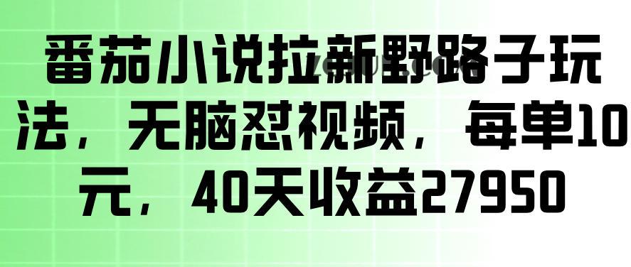 番茄小说拉新野路子玩法,无脑怼视频,玩法简单、见效快,每单10米,40天收益27950