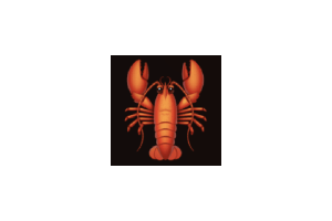 🦞OpenClaw CN,OpenClaw汉化版:开源个人 AI 助手中文版,全流程搭建教程,以及排错指南!